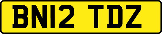 BN12TDZ