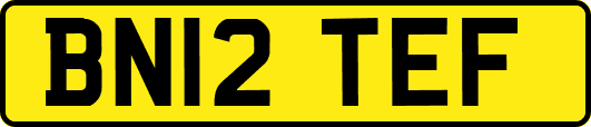 BN12TEF