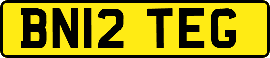 BN12TEG