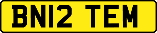 BN12TEM