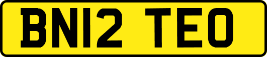 BN12TEO