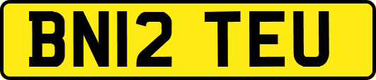 BN12TEU