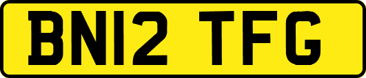BN12TFG