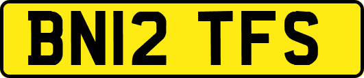 BN12TFS