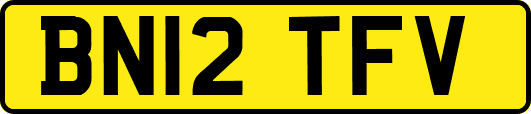 BN12TFV