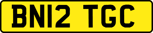 BN12TGC