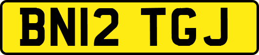 BN12TGJ