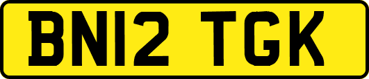 BN12TGK