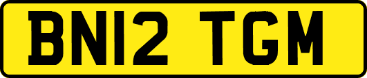 BN12TGM
