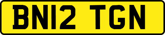 BN12TGN