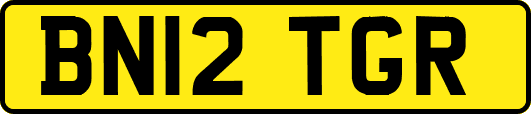 BN12TGR