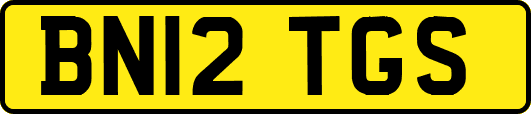 BN12TGS