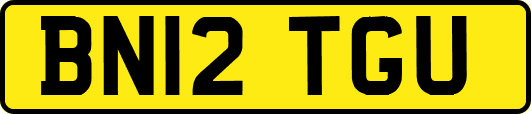 BN12TGU