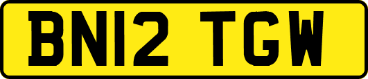 BN12TGW