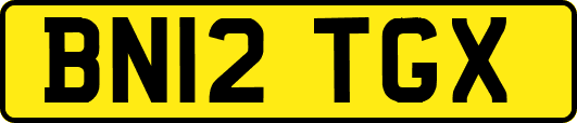 BN12TGX