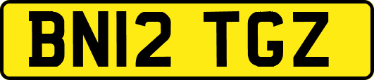 BN12TGZ