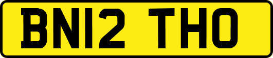 BN12THO