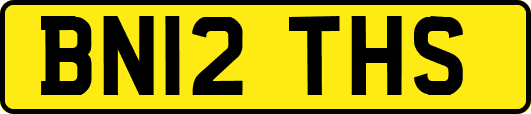 BN12THS