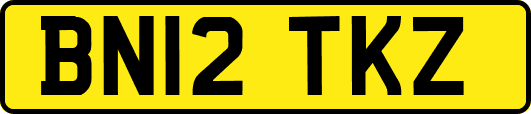 BN12TKZ