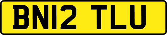 BN12TLU