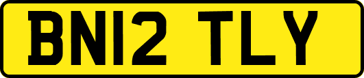 BN12TLY