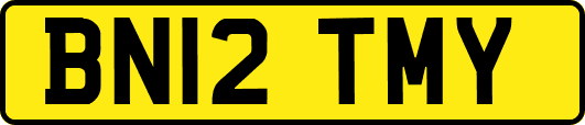 BN12TMY