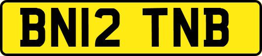 BN12TNB