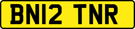 BN12TNR