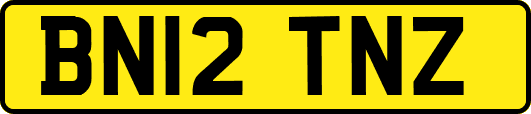 BN12TNZ