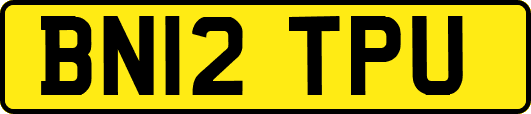 BN12TPU