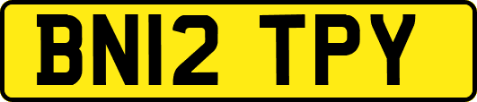 BN12TPY