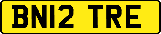 BN12TRE