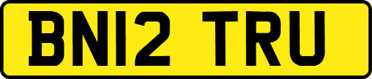 BN12TRU