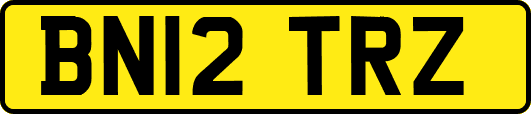 BN12TRZ