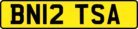 BN12TSA