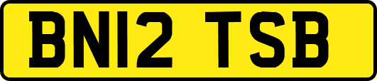BN12TSB