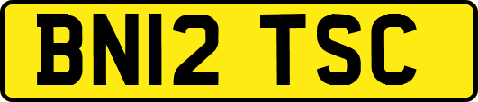 BN12TSC