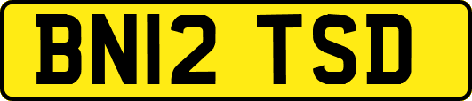 BN12TSD