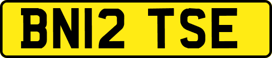 BN12TSE
