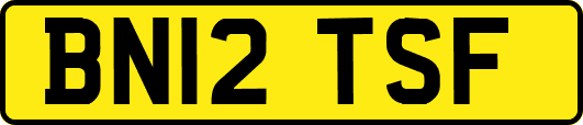 BN12TSF