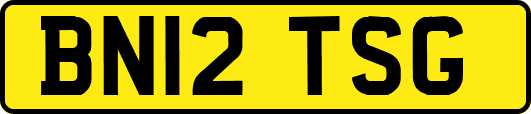 BN12TSG