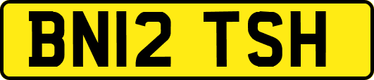 BN12TSH