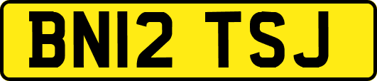 BN12TSJ