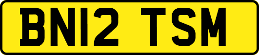 BN12TSM