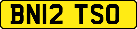 BN12TSO