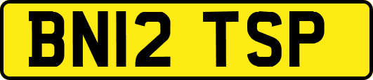 BN12TSP