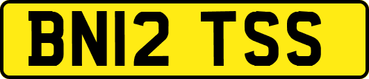 BN12TSS