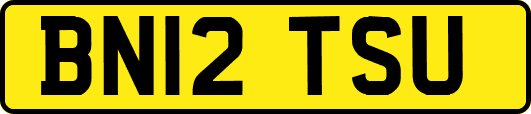 BN12TSU