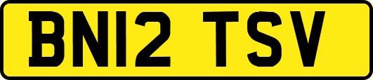 BN12TSV