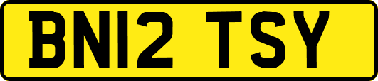 BN12TSY